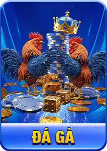 đá gà kucasino